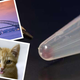 Illustration for article titled Scientists Stored These Images in DNA—Then Flawlessly Retrieved Them